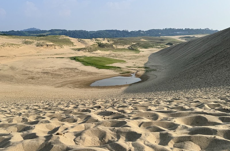日本鳥取砂丘旁！偎岩吾打造高濱咖啡，有絕美砂丘景觀、道地鳥取美食。