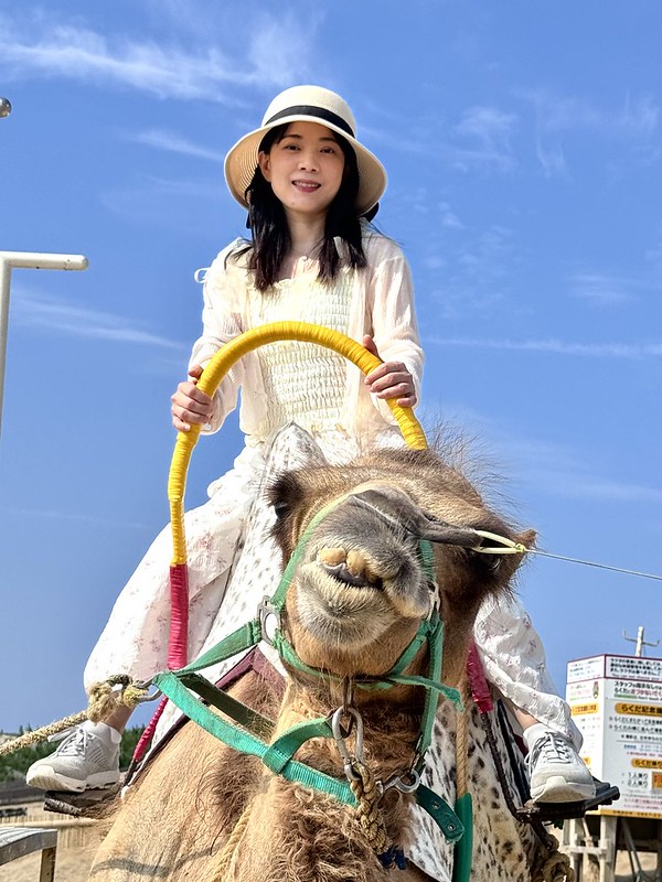 日本鳥取砂丘旁！偎岩吾打造高濱咖啡，有絕美砂丘景觀、道地鳥取美食。