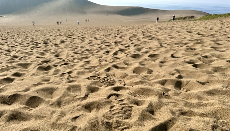 日本鳥取砂丘旁！偎岩吾打造高濱咖啡，有絕美砂丘景觀、道地鳥取美食。