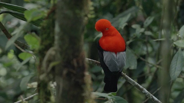 The Movie poster and stills of Taiwan record Movie