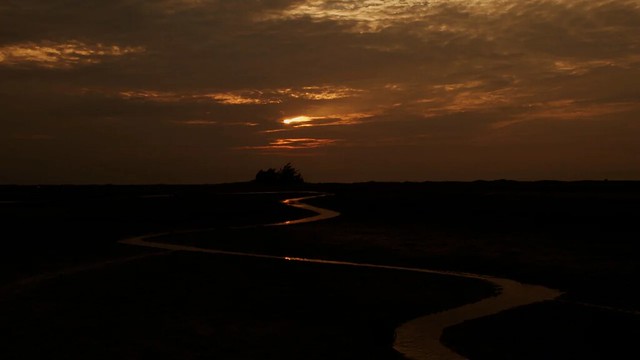 The Movie poster and stills of Taiwan record Movie