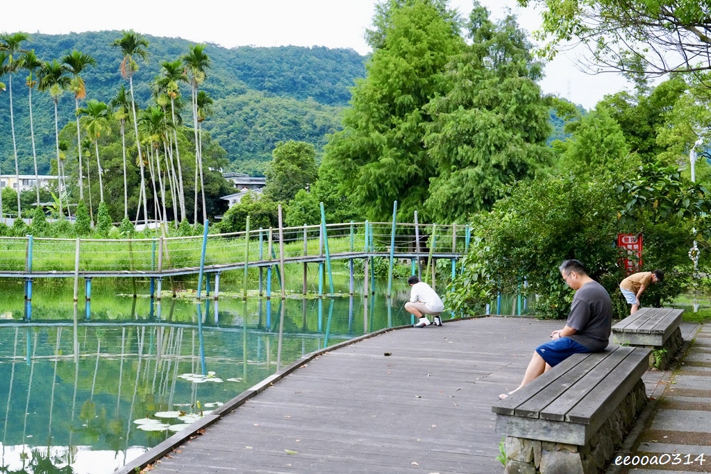 宜蘭員山玩水景點「雷公埤」天然湧泉戲水趣,親子觀察小魚小蝦的 宜蘭員山玩水景點「雷公埤」天然湧泉戲水趣,親子觀察小魚小蝦的