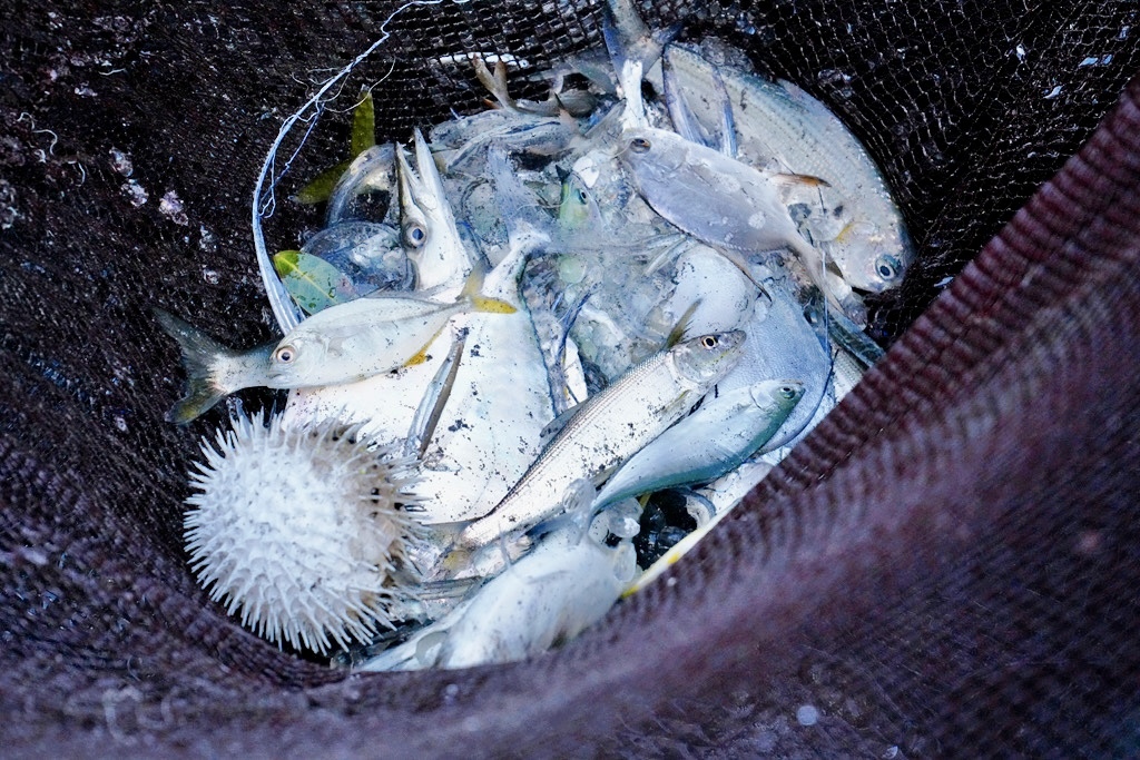 鐵道浪花小旅行|東北角一日遊 × 牽罟體驗 × 外澳月夜浪花