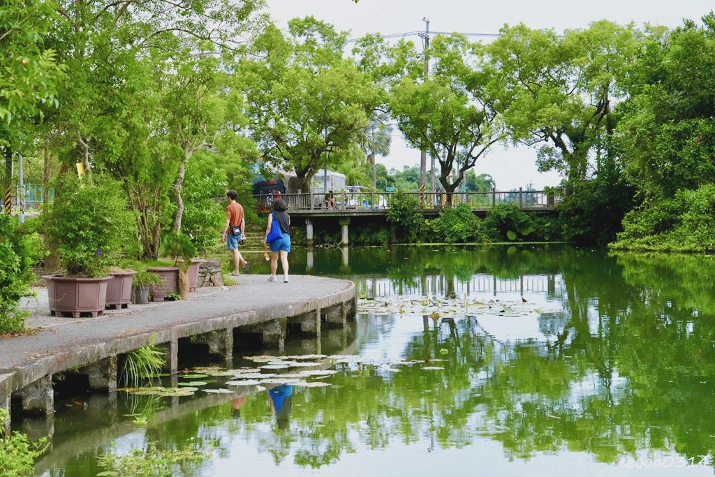宜蘭員山玩水景點「雷公埤」天然湧泉戲水趣,親子觀察小魚小蝦的 宜蘭員山玩水景點「雷公埤」天然湧泉戲水趣,親子觀察小魚小蝦的
