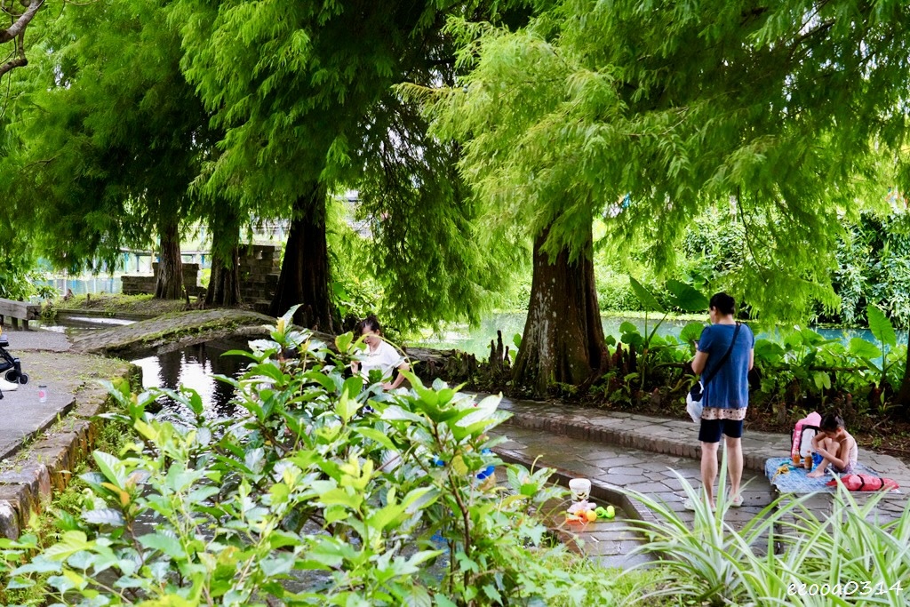 宜蘭員山玩水景點「雷公埤」天然湧泉戲水趣,親子觀察小魚小蝦的 宜蘭員山玩水景點「雷公埤」天然湧泉戲水趣,親子觀察小魚小蝦的