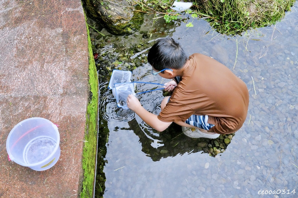 宜蘭員山玩水景點「雷公埤」天然湧泉戲水趣,親子觀察小魚小蝦的 宜蘭員山玩水景點「雷公埤」天然湧泉戲水趣,親子觀察小魚小蝦的
