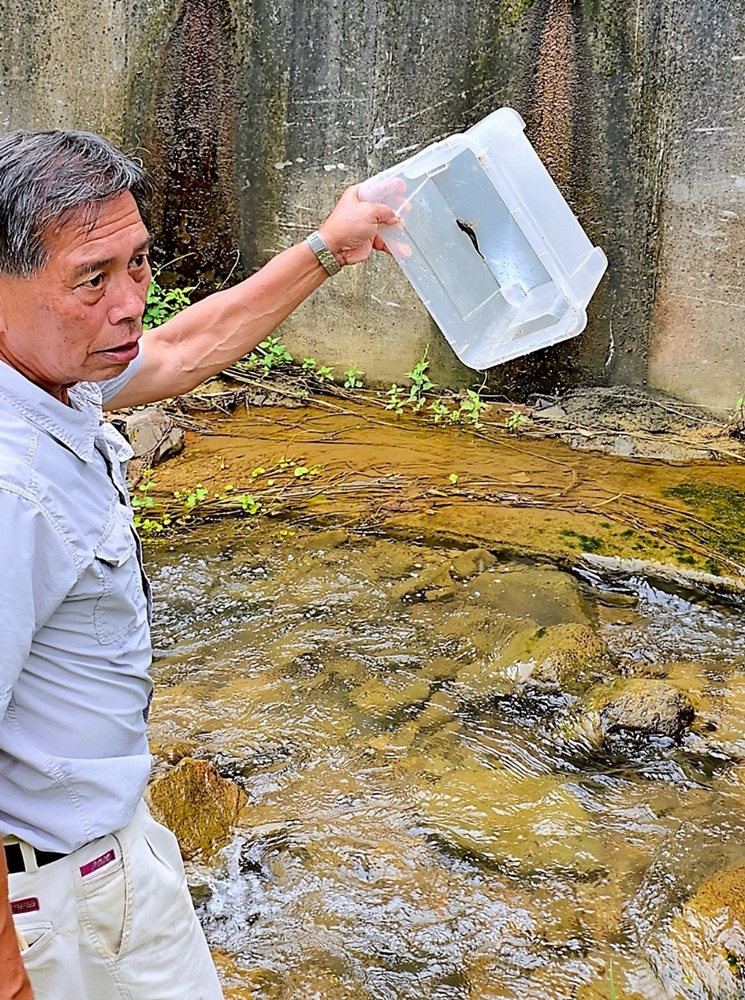 帶孩子走進自然教室!桃米休閒農業區,魚蝦生態體驗;玩出知識與樂趣!!