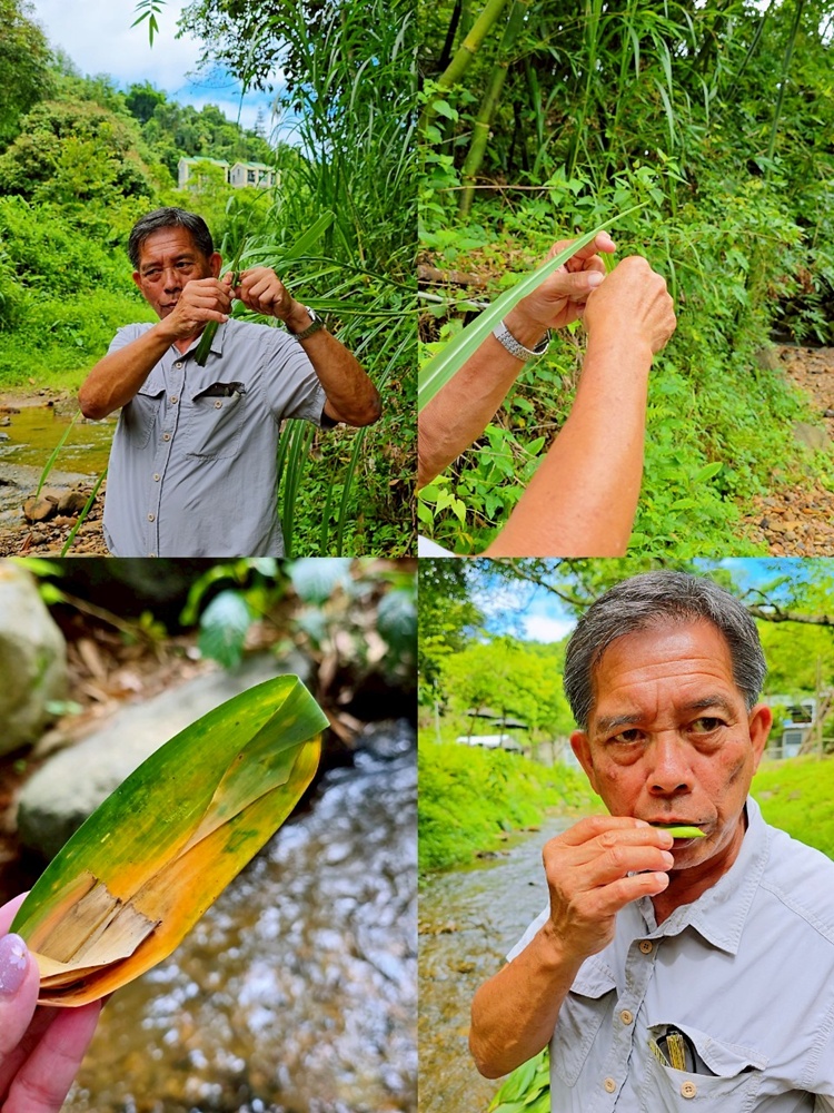 帶孩子走進自然教室!桃米休閒農業區,魚蝦生態體驗;玩出知識與樂趣!!