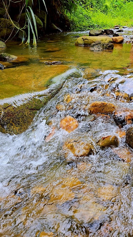 帶孩子走進自然教室!桃米休閒農業區,魚蝦生態體驗;玩出知識與樂趣!!
