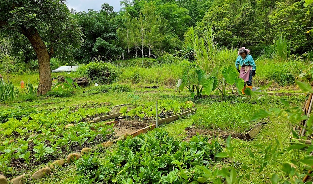 帶孩子走進自然教室!桃米休閒農業區,魚蝦生態體驗;玩出知識與樂趣!!
