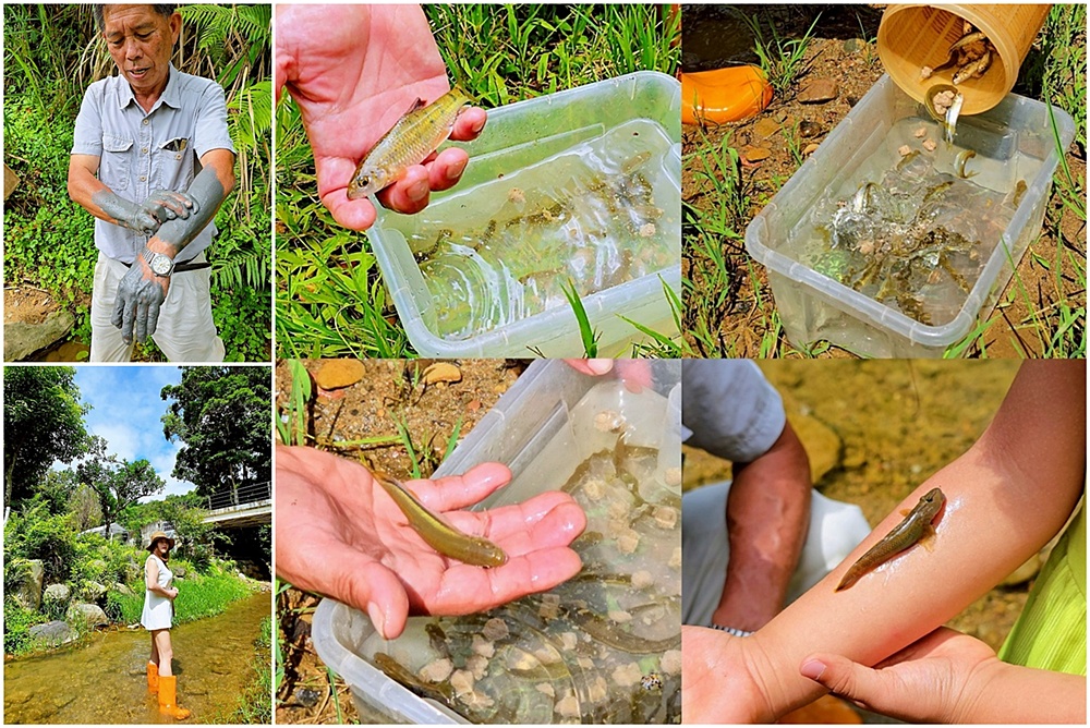 帶孩子走進自然教室!桃米休閒農業區,魚蝦生態體驗;玩出知識與樂趣!!