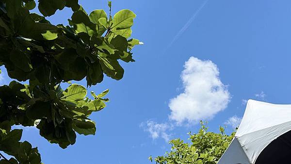 IMG_2089 (1).jpg IMG_2089 (1).jpg