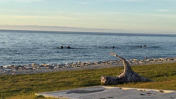 IMG_1534.jpg IMG_1534.jpg