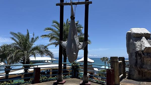 IMG_1130 (1).jpg IMG_1130 (1).jpg