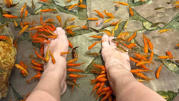 IMG_8831 (1).jpg IMG_8831 (1).jpg