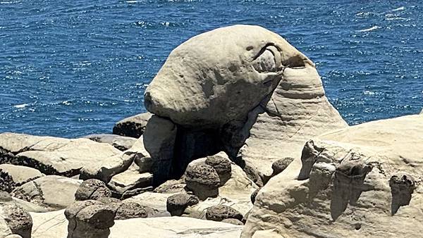 IMG_2057 (2).jpg IMG_2057 (2).jpg