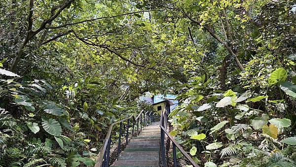 IMG_2074 (1).jpg IMG_2074 (1).jpg