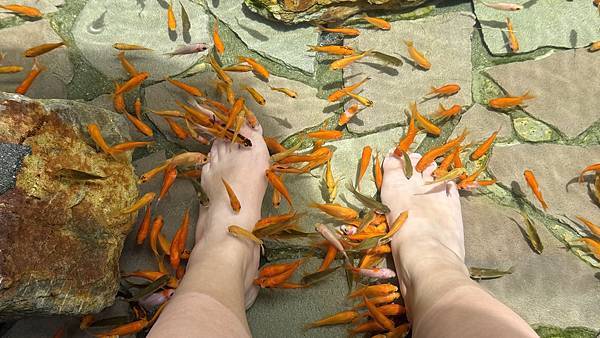 IMG_8834.jpg IMG_8834.jpg