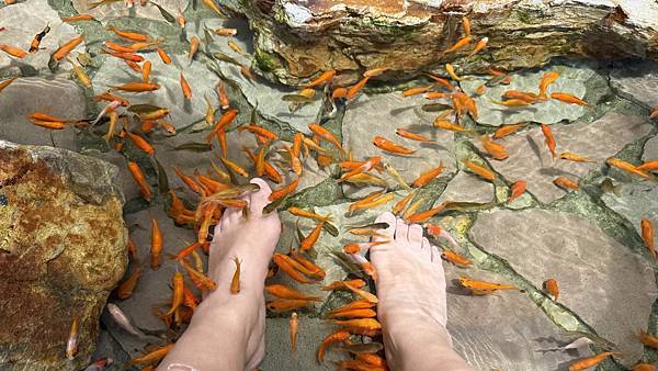 IMG_8832 (1).jpg IMG_8832 (1).jpg