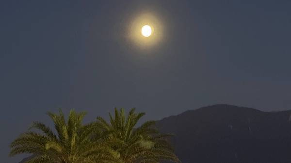 IMG_1471.jpg IMG_1471.jpg