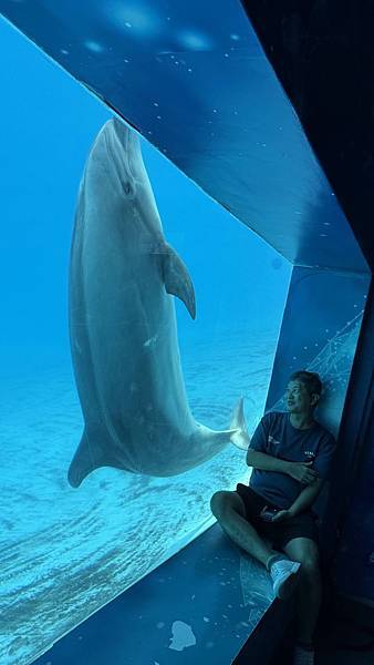 IMG_1088 (1).jpg IMG_1088 (1).jpg