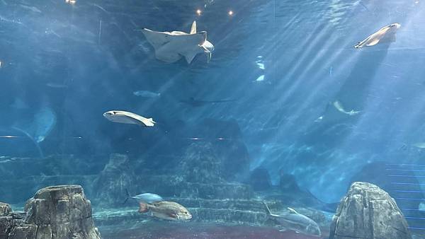 IMG_1145.jpg IMG_1145.jpg