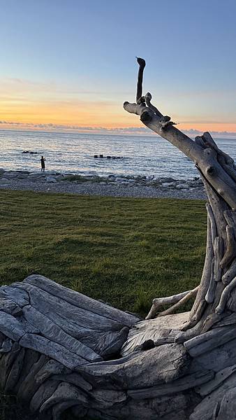 IMG_1489 (1).jpg IMG_1489 (1).jpg