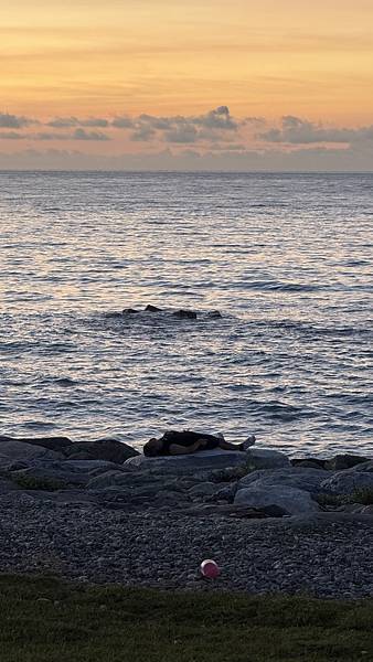 IMG_1491.jpg IMG_1491.jpg