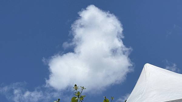 IMG_2088.jpg IMG_2088.jpg