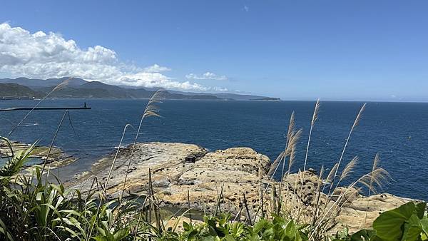 IMG_2082 (2).jpg IMG_2082 (2).jpg