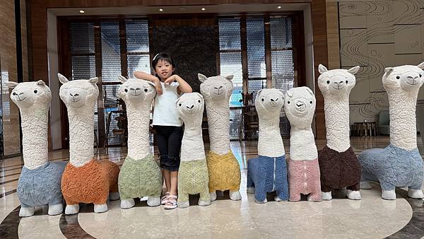 IMG_8678 (2).jpg IMG_8678 (2).jpg