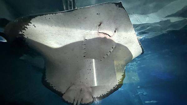 IMG_1150.jpg IMG_1150.jpg