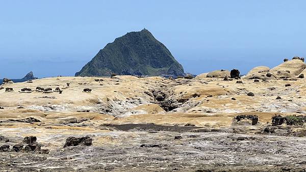 IMG_1988 (1).jpg IMG_1988 (1).jpg