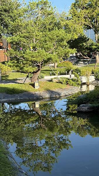 IMG_1584.jpg IMG_1584.jpg