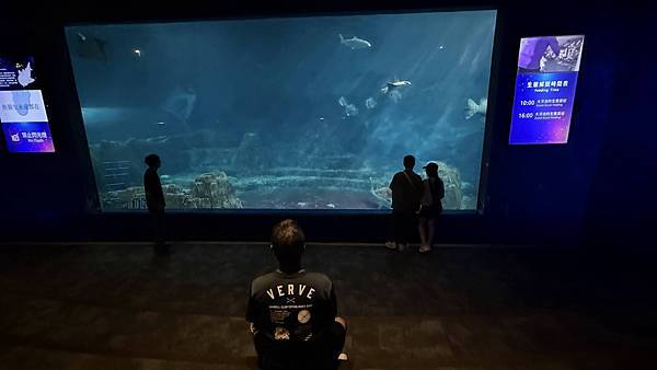 IMG_1137 (1).jpg IMG_1137 (1).jpg