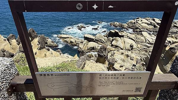 IMG_2048 (1).jpg IMG_2048 (1).jpg