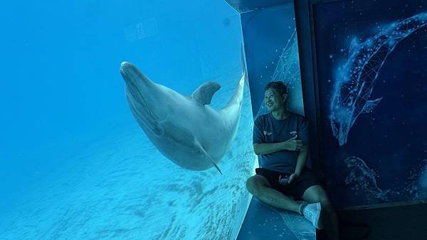 IMG_1087 (1).jpg IMG_1087 (1).jpg