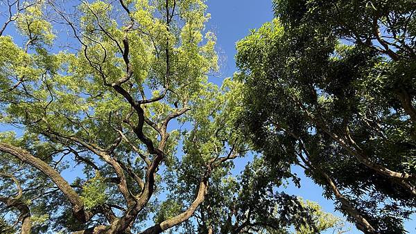 IMG_1595 (2).jpg IMG_1595 (2).jpg