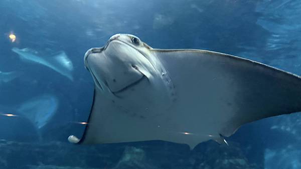 IMG_1141 (1).jpg IMG_1141 (1).jpg