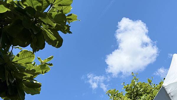 IMG_2090 (2).jpg IMG_2090 (2).jpg