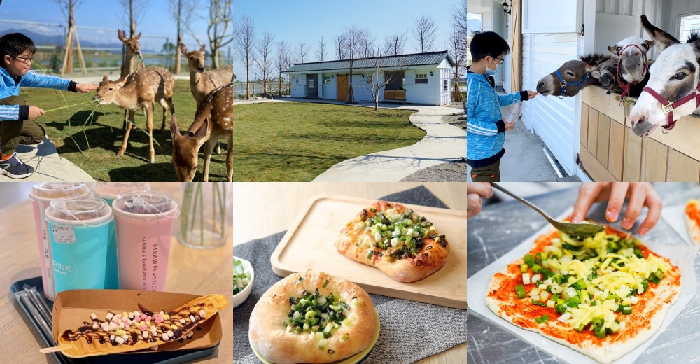 宜蘭樹懶餐廳超萌泰迪羊、鵜鶘秀等你！好吃餐點結合動物樂園，親子放電首選~