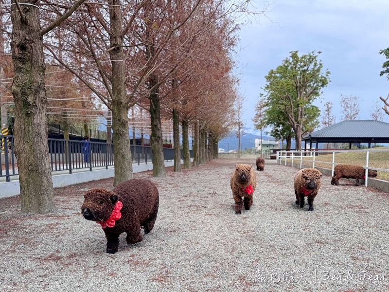 宜蘭樹懶餐廳超萌泰迪羊、鵜鶘秀等你！好吃餐點結合動物樂園，親子放電首選~
