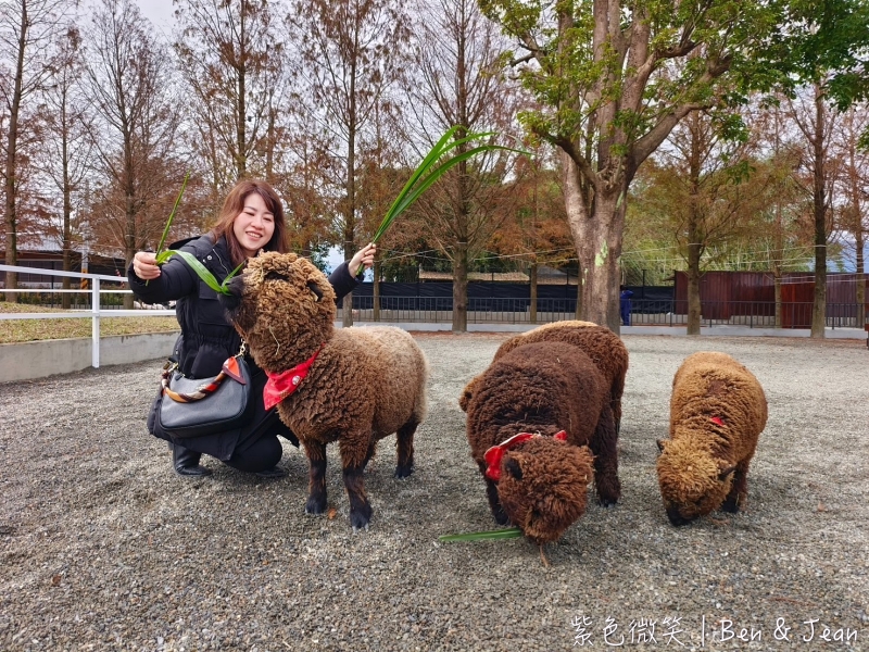 宜蘭樹懶餐廳超萌泰迪羊、鵜鶘秀等你！好吃餐點結合動物樂園，親子放電首選~