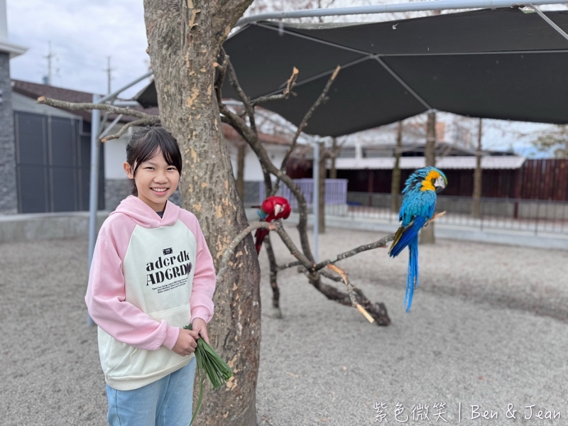 宜蘭樹懶餐廳超萌泰迪羊、鵜鶘秀等你！好吃餐點結合動物樂園，親子放電首選~