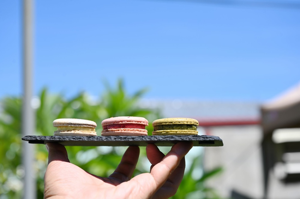 2024台東行程規劃|我在太麻里好解憂 2024太麻里金針花