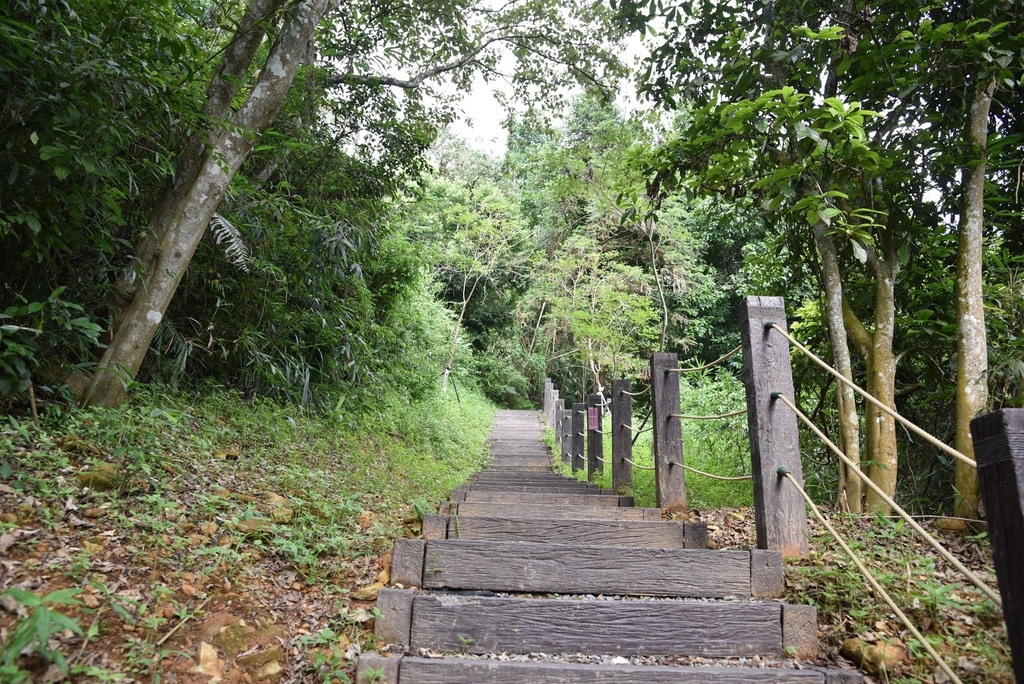 玩翻埔里！兩天一夜行程這樣排超好玩 在地人激推景點美食 寓教