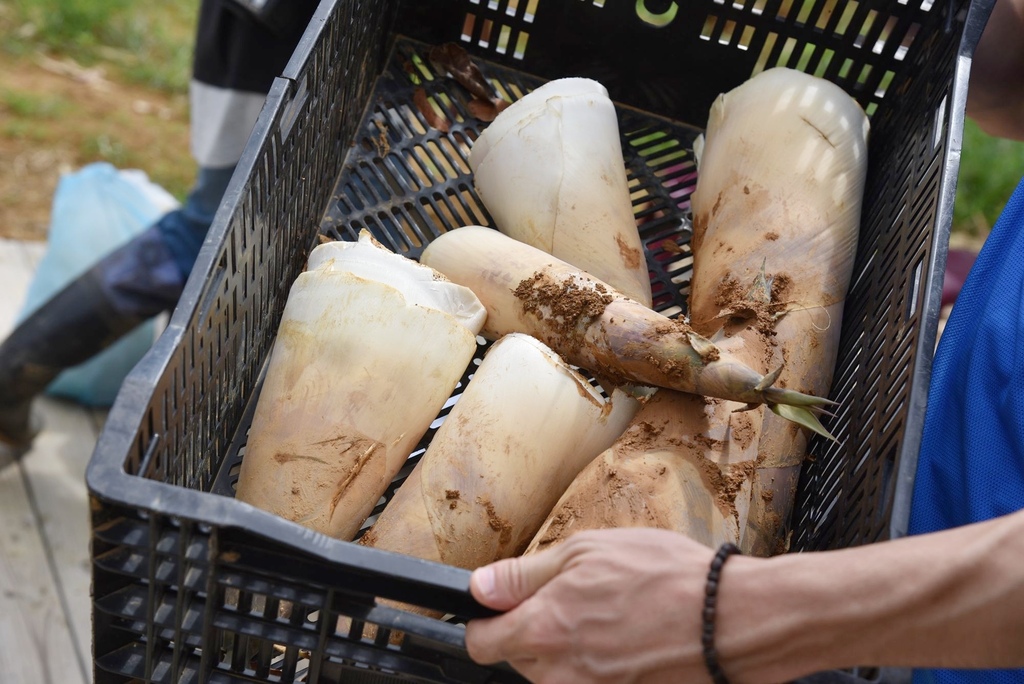 玩翻埔里！兩天一夜行程這樣排超好玩 在地人激推景點美食 寓教