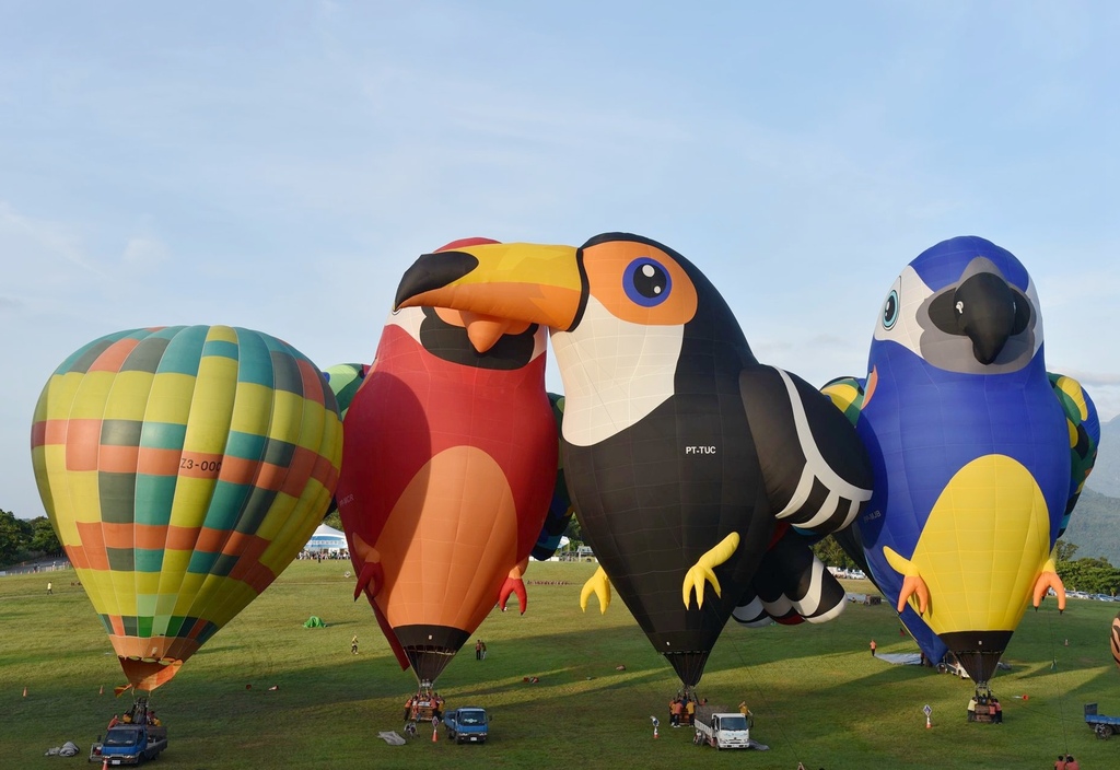 台東太麻里鄉|太麻里商圈景點美食全攻略 金針花海、美食景點一