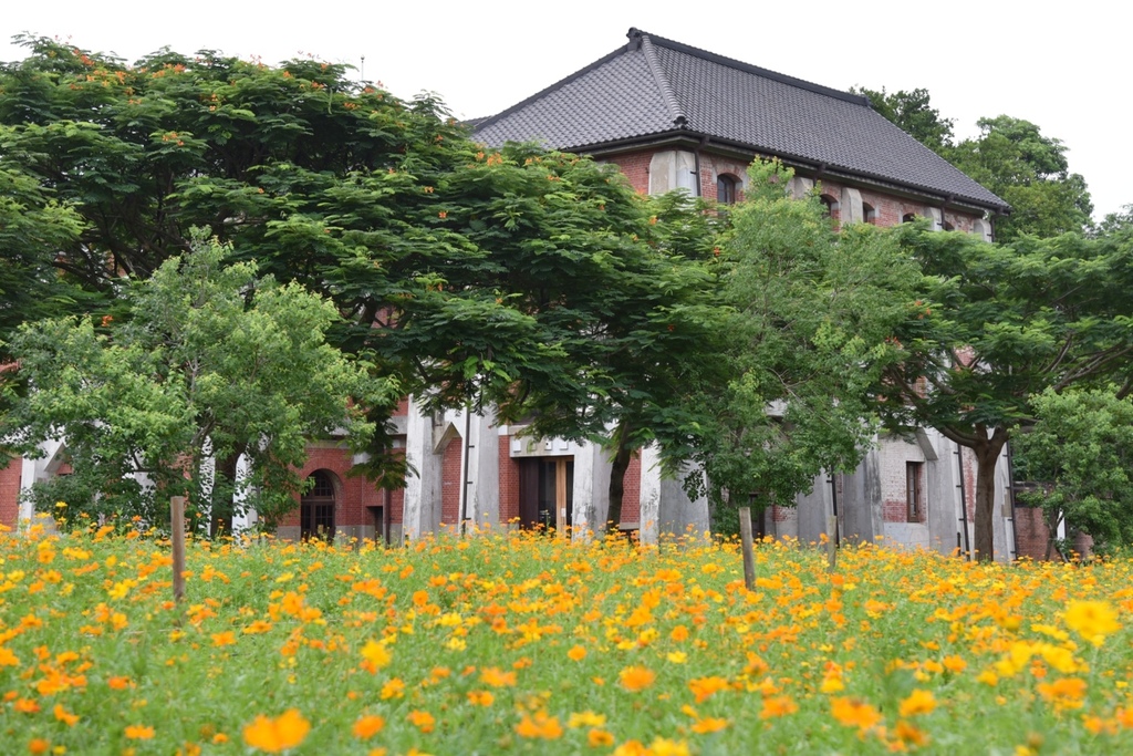 臺南100亮點主題推薦|臺南7月主題月旅遊指南 關仔嶺溫泉風