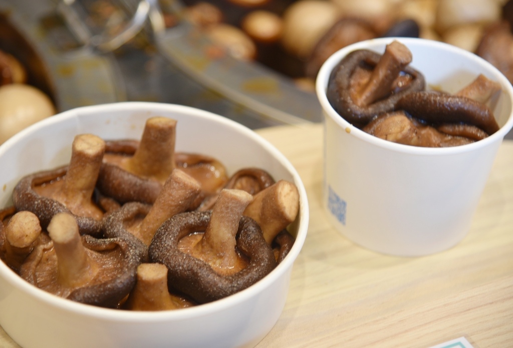 南投魚池鄉｜環保再進化！日月潭電動船升級，美食音樂打造遊湖新